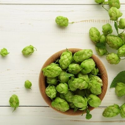 Hops flowers